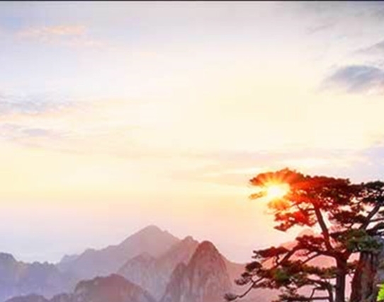 怎么剪辑生活视频教程