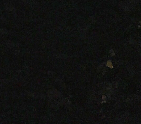 人文历史山东特色
