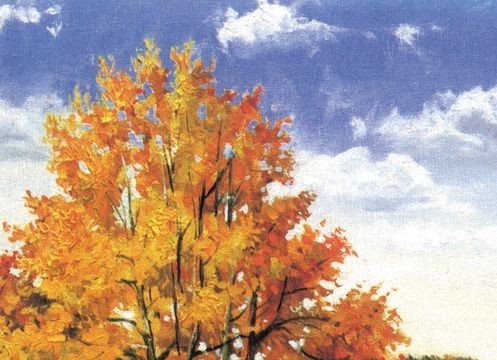 人文景观分布原因