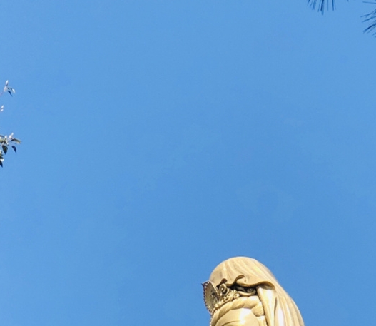 生活碎片fall