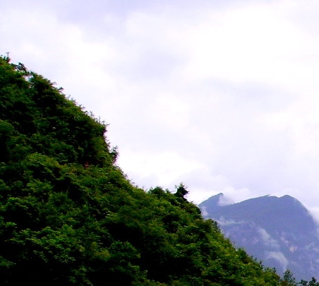 行 为 艺术