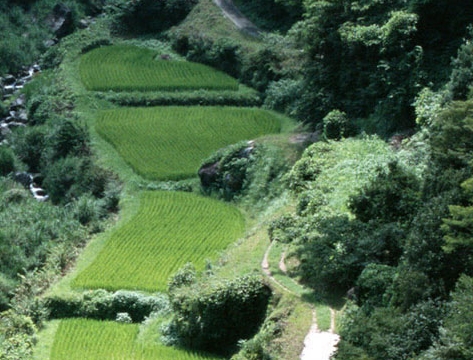 拍立得基本常识