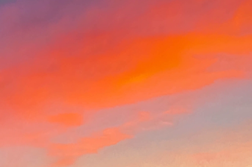 情感专家的袜子