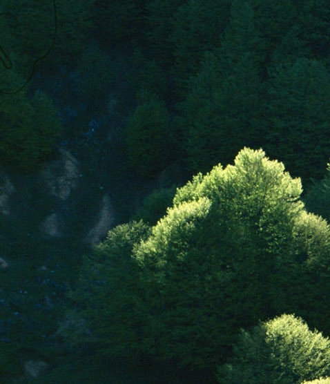 京东山姆购物算山姆积分吗