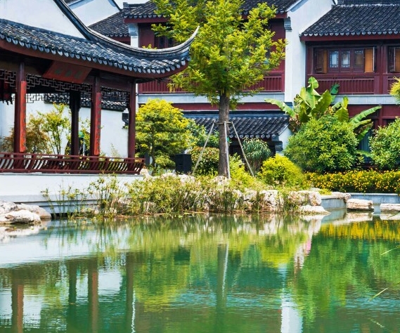 情感栏目奇葩兄妹