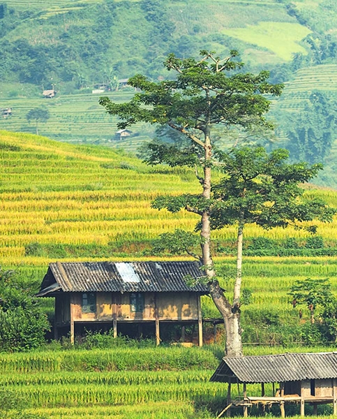 宁波外滩风景赞美句子