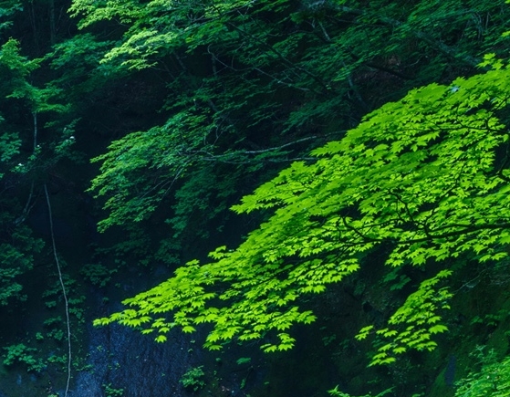 生活沉淀下来的才是人生