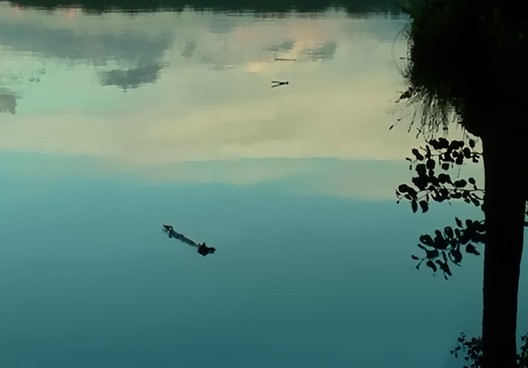 赤峰考研机构