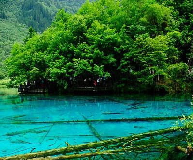 洪水无情人有情的范文