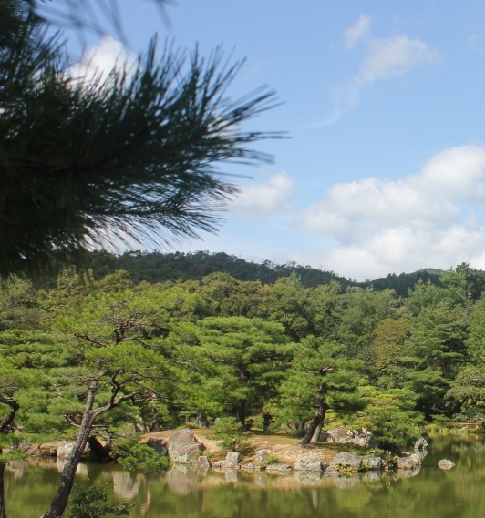 桂城附近的山