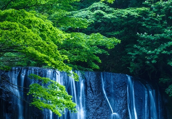 蒙蒙的生活