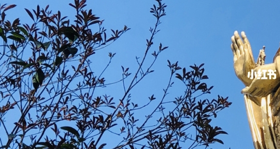 银座商城购物卡使用范围