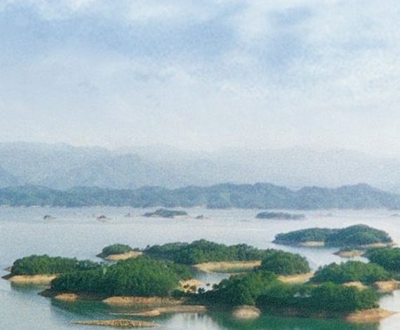 黄金购物卡临沂