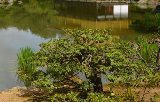 药店卖药常识大全