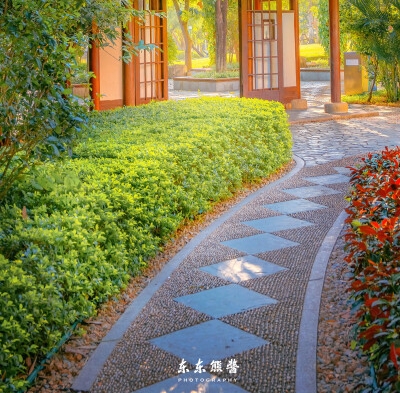 兴隆本地咖啡