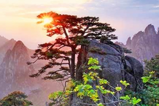 过生日恋人文案