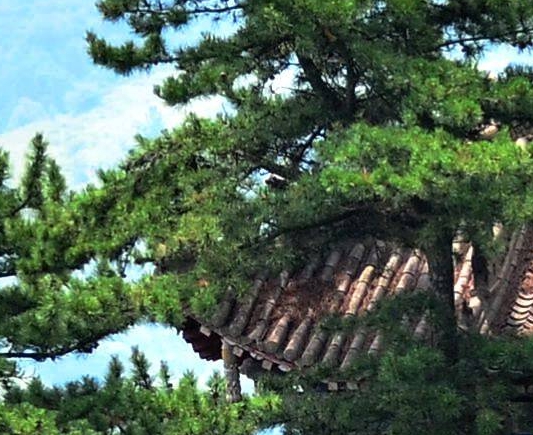 理想的生活常识