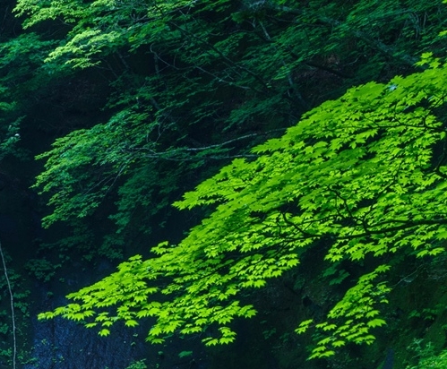 湘潭 生活垃圾焚烧发电