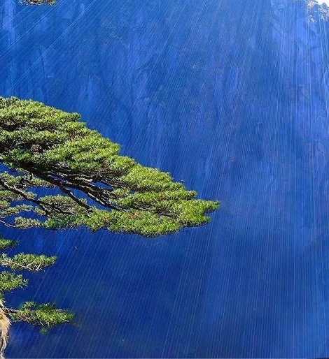 带点情感的句子
