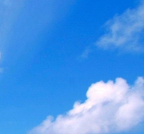 职测b类联考常识