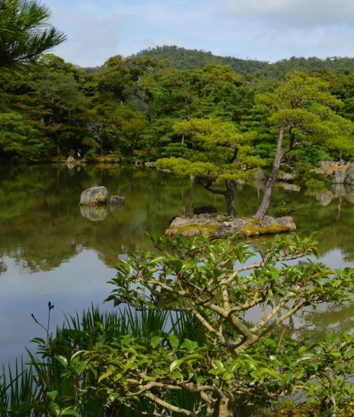 37度京东商城