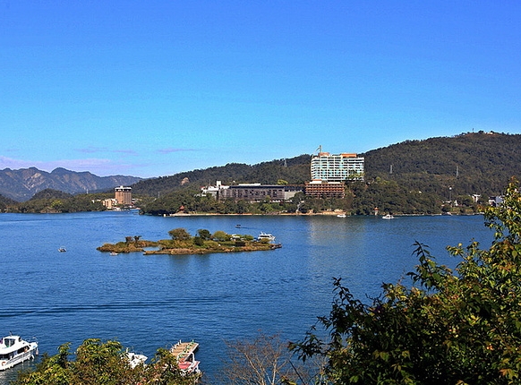 阳光玫瑰采摘