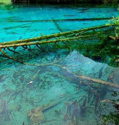 淘宝购物没有运费险选项