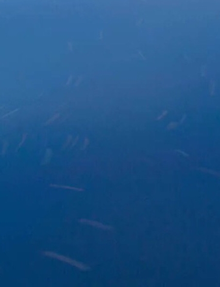 盘锦双台子天气