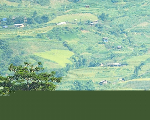 清颜堂可信吗