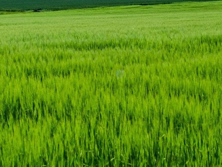 生活最热门