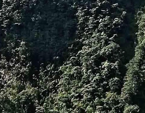 睢县铁佛寺公园地址
