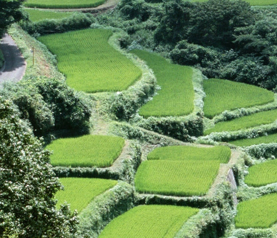 辽阳友谊商城