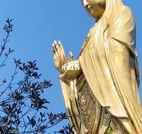 dsm官网商城