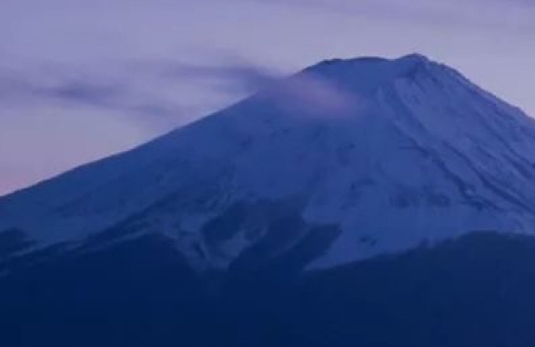 价值共生商城