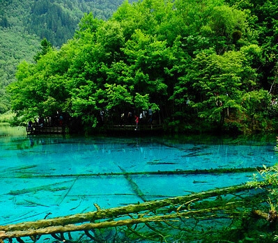 杭州山姆购物车