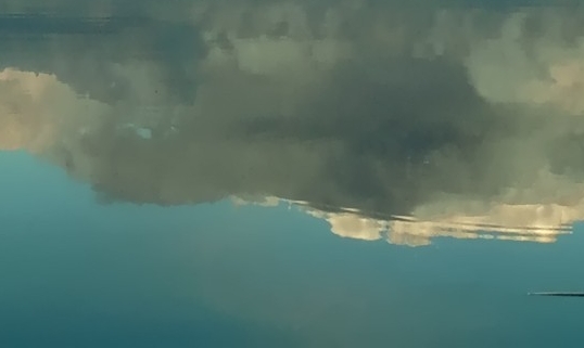 香肠生活