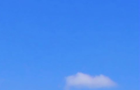 今日购物海参