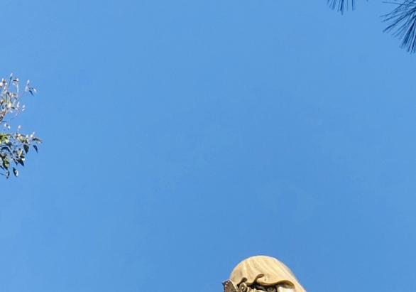 手写感人文章