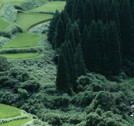 情感:悲伤类比