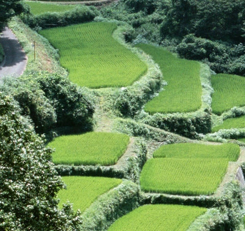 空调格栅图案