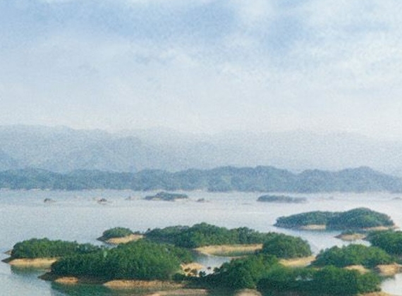 标准流量