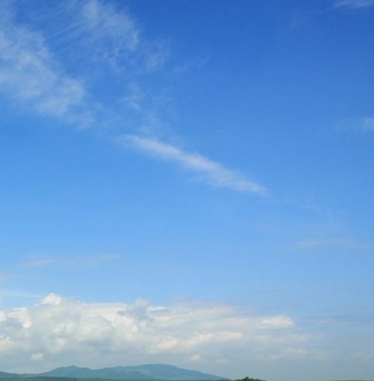 生活担担面