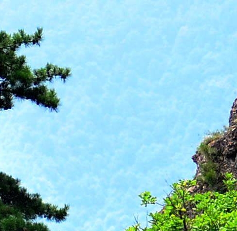 伍六七小说