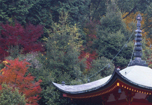 《大学》常识