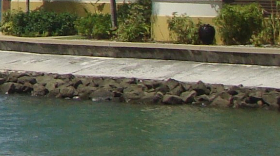 n次方蹦床公园