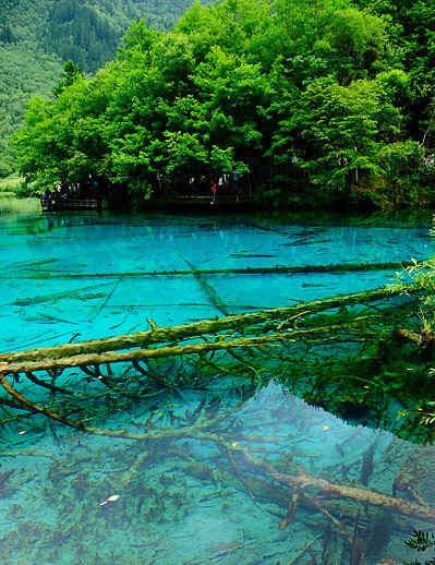 双向情感交流障碍症能治好吗