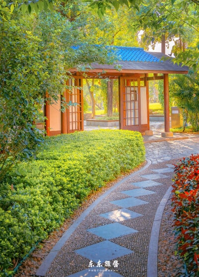 情感和艺术关系