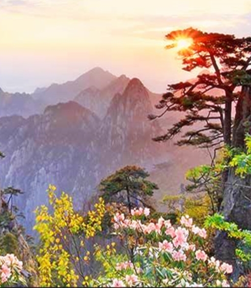 心静歌曲