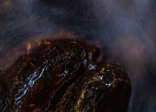 热爱生活的人对待生活