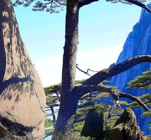 安岳人文风景